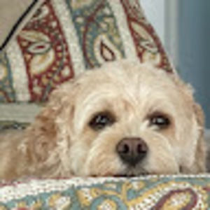 Meet your Posher, Ruthann